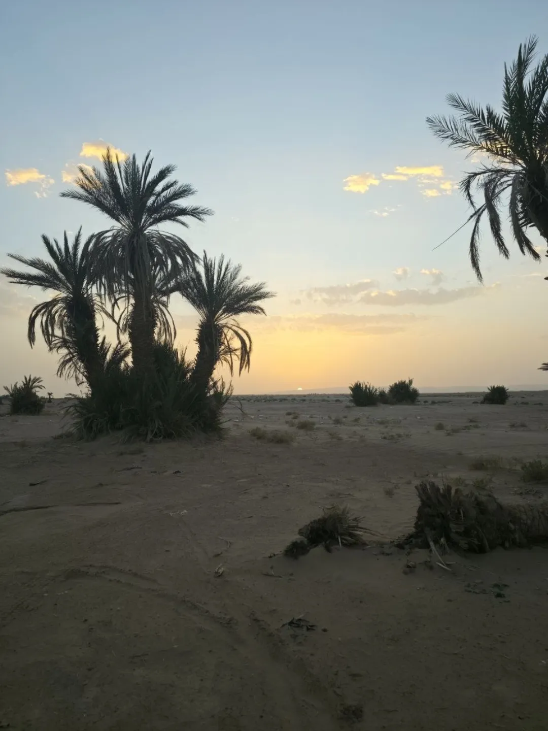 Footprints crossing a dune under clear desert light