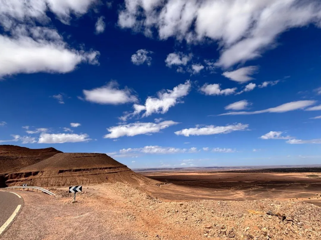 A camel caravan walking through a dry, sandy landscape with sparse vegetation and clear skies in the Draa Valley.