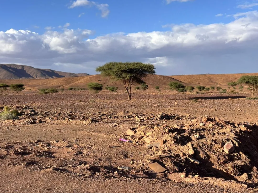 A local Moroccan family sitting on a carpet outdoors, enjoying tea and conversation in a traditional setting.