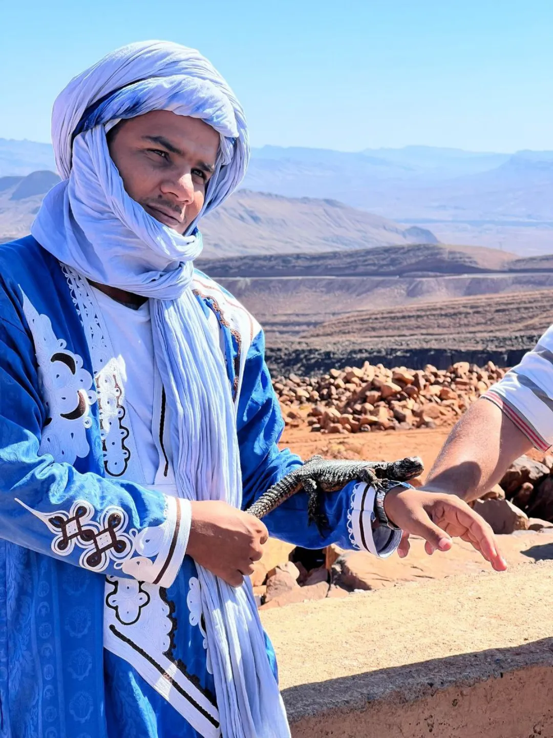 Panoramic view of the Draa Valley with a winding riverbed, palm groves, and mountains under a clear sky.