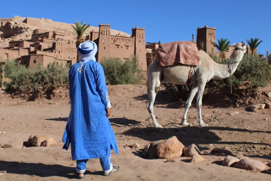 Nomad sitting by a fire under a starry sky while playing a traditional instrument