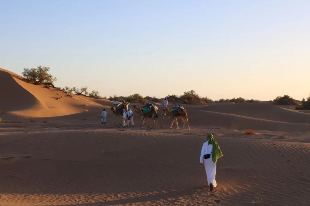 A group of people walking slowly in single file across a desert landscape, emphasizing a meditative pace.