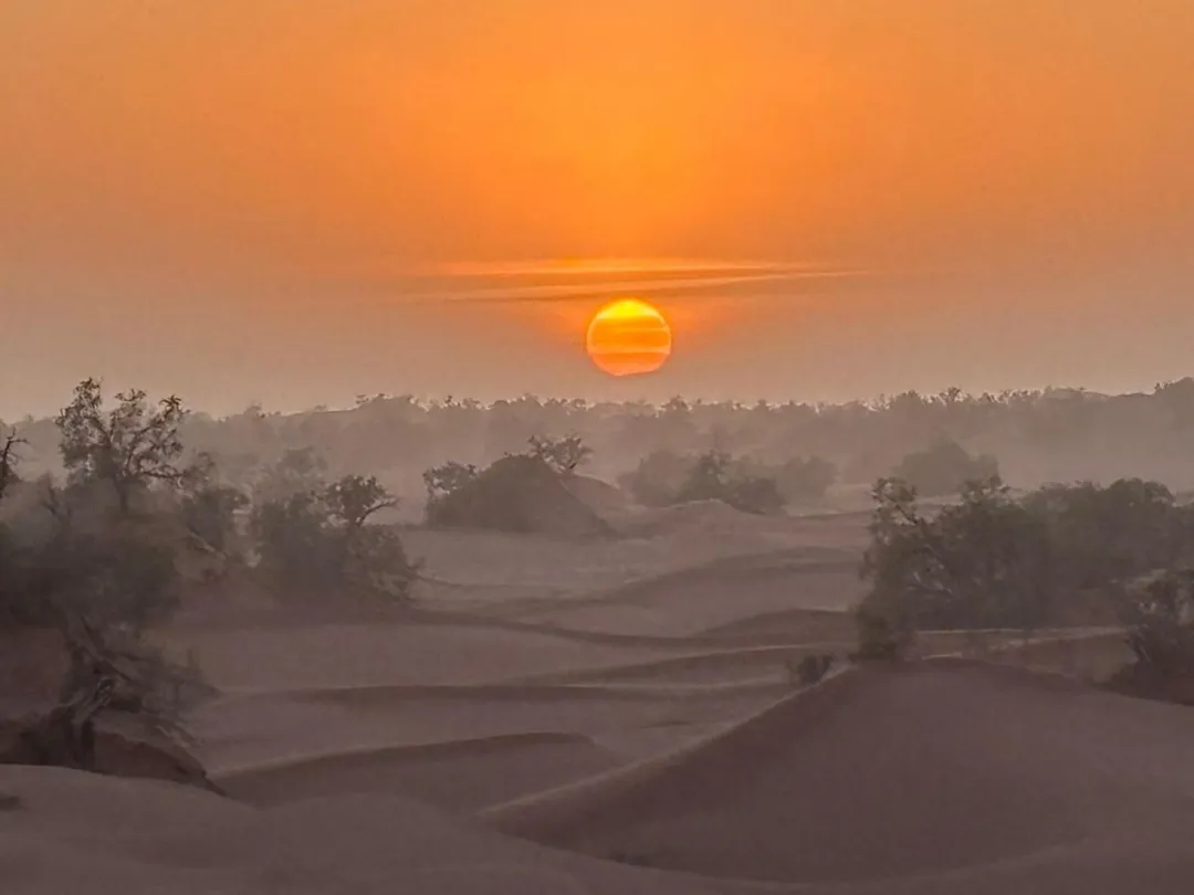 Walking trek through the dunes of the Moroccan Sahara