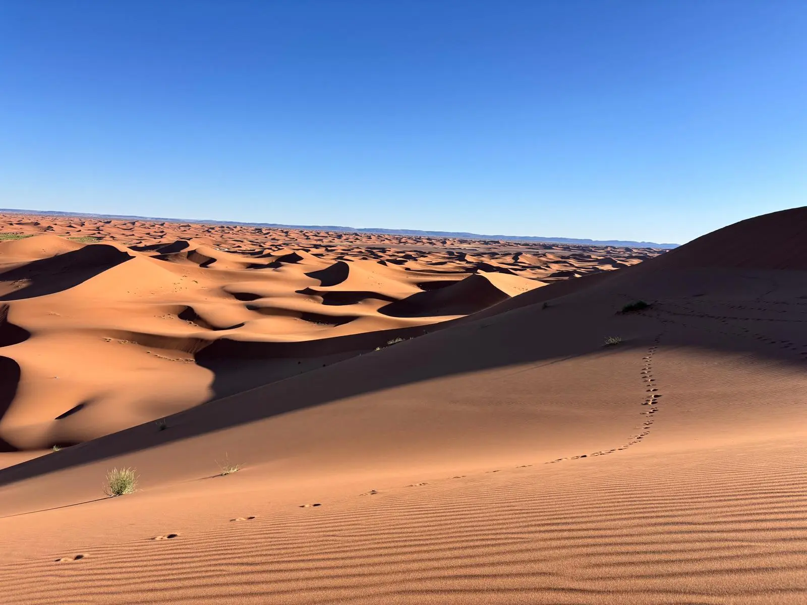 A beautiful scene in the Sahara desert.