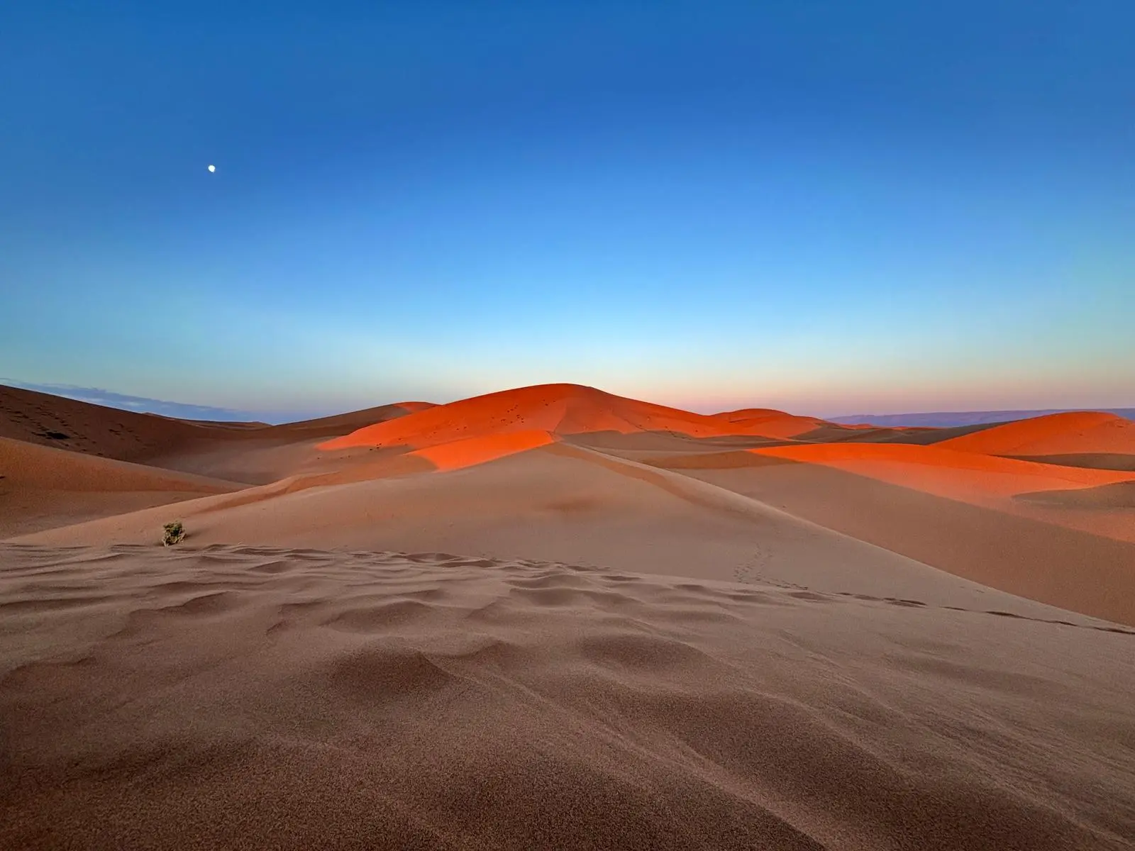 A beautiful scene in the Sahara desert.