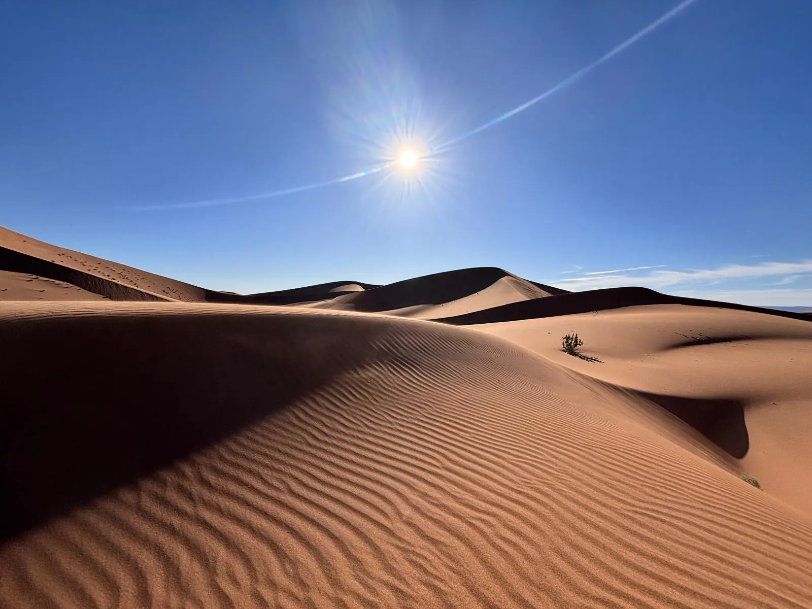 A beautiful scene in the Sahara desert.