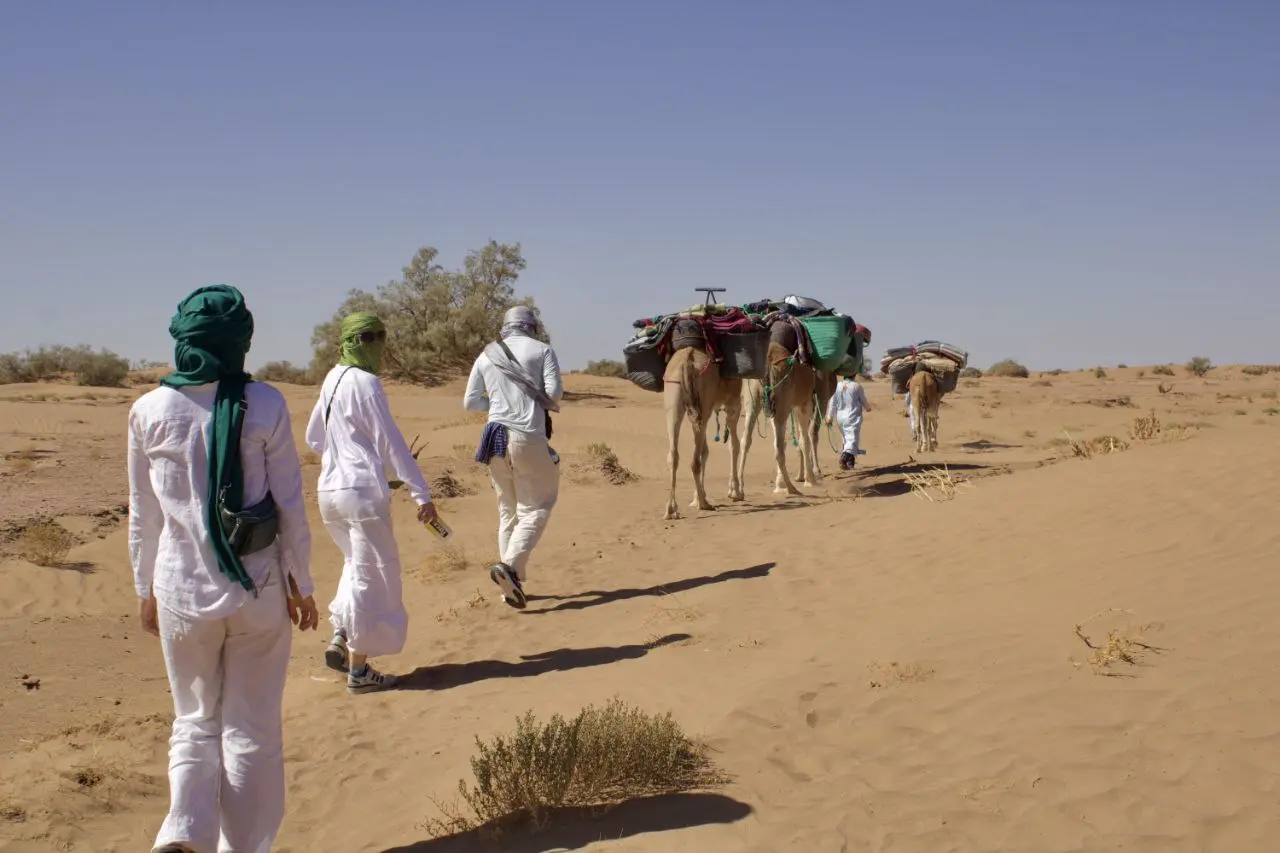 Travelers and pack camels walking across a sandy desert under a clear blue sky.
