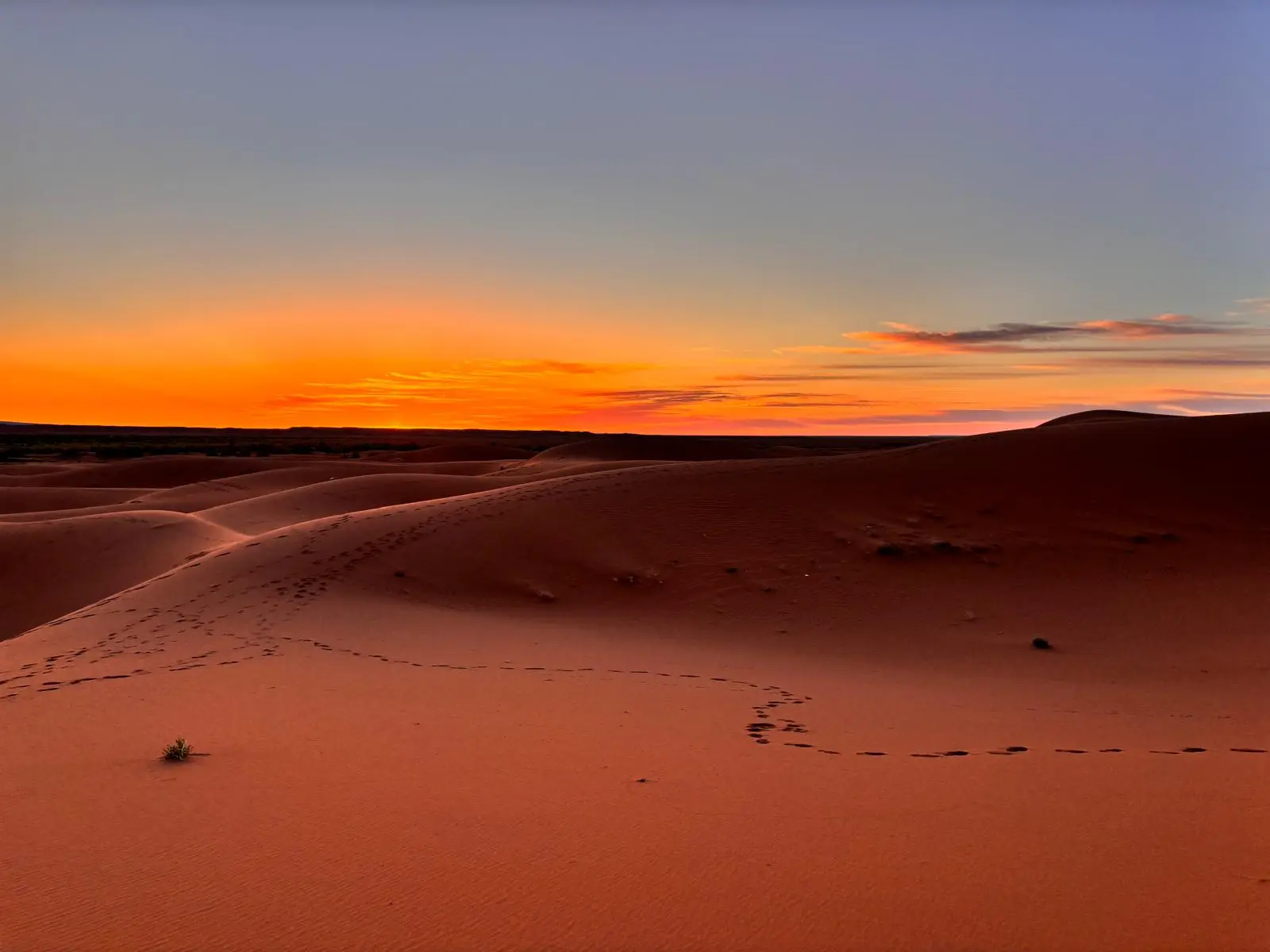 Nomadic Retreat