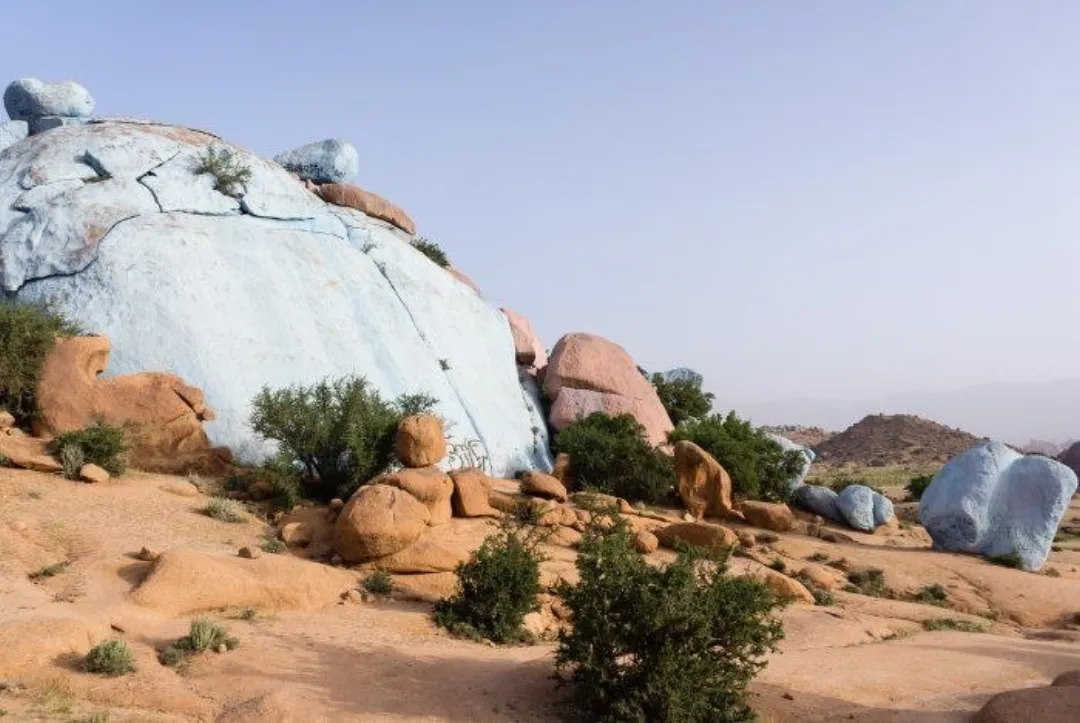 Blue-painted boulders and shrubs in a sandy desert landscape
