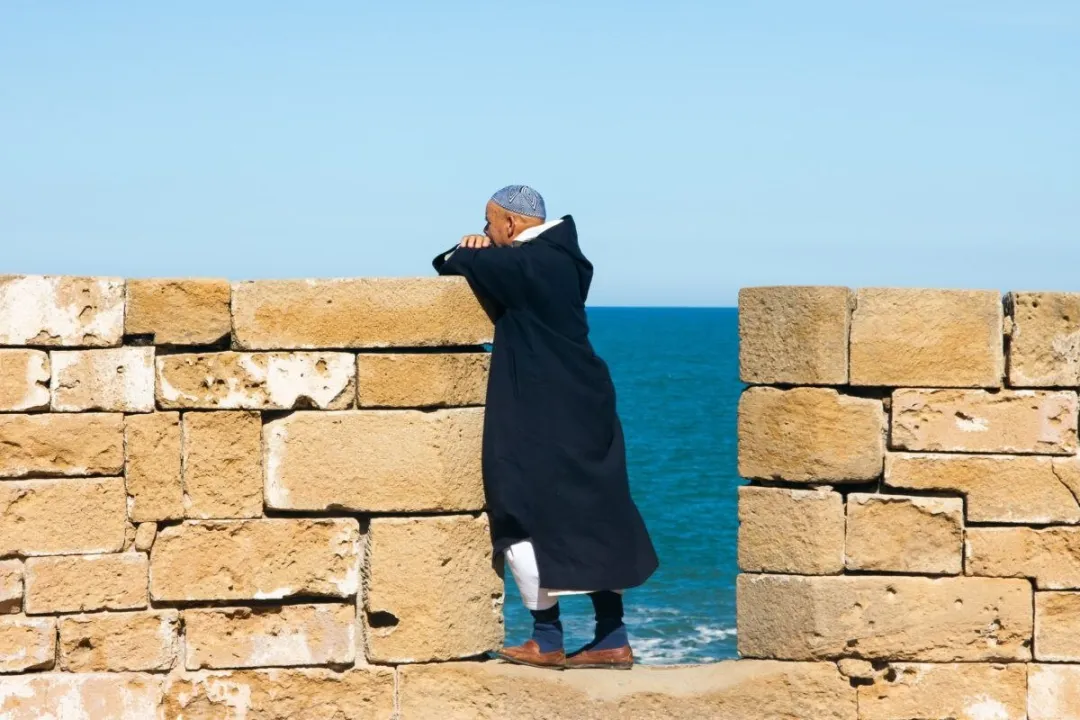 Person in a dark robe looking over a stone wall toward the ocean