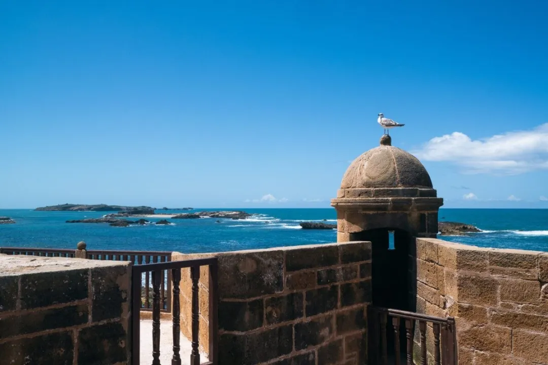 Seagull perched on a stone coastal fort turret overlooking the ocean