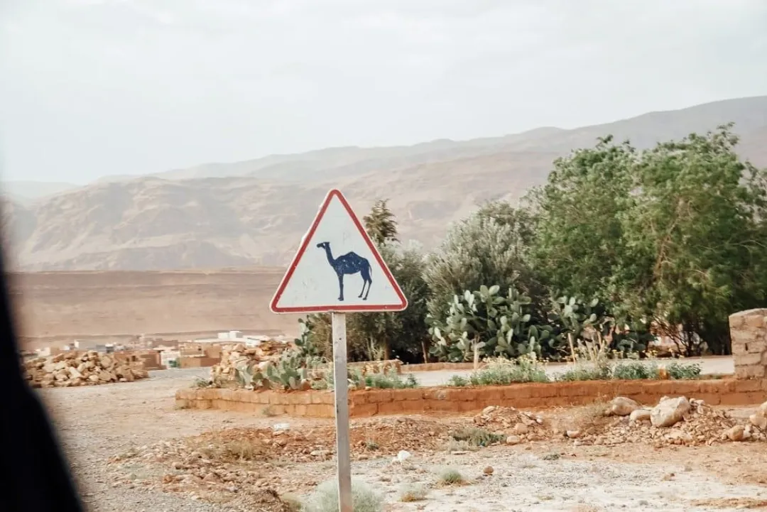 Camel crossing warning sign on a desert road with mountains in the background
