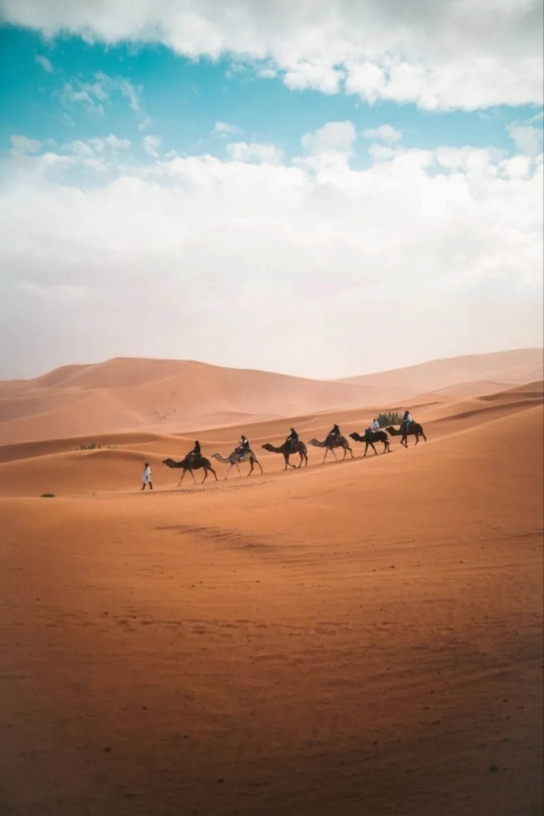 Camel caravan crossing orange desert dunes under a cloudy blue sky