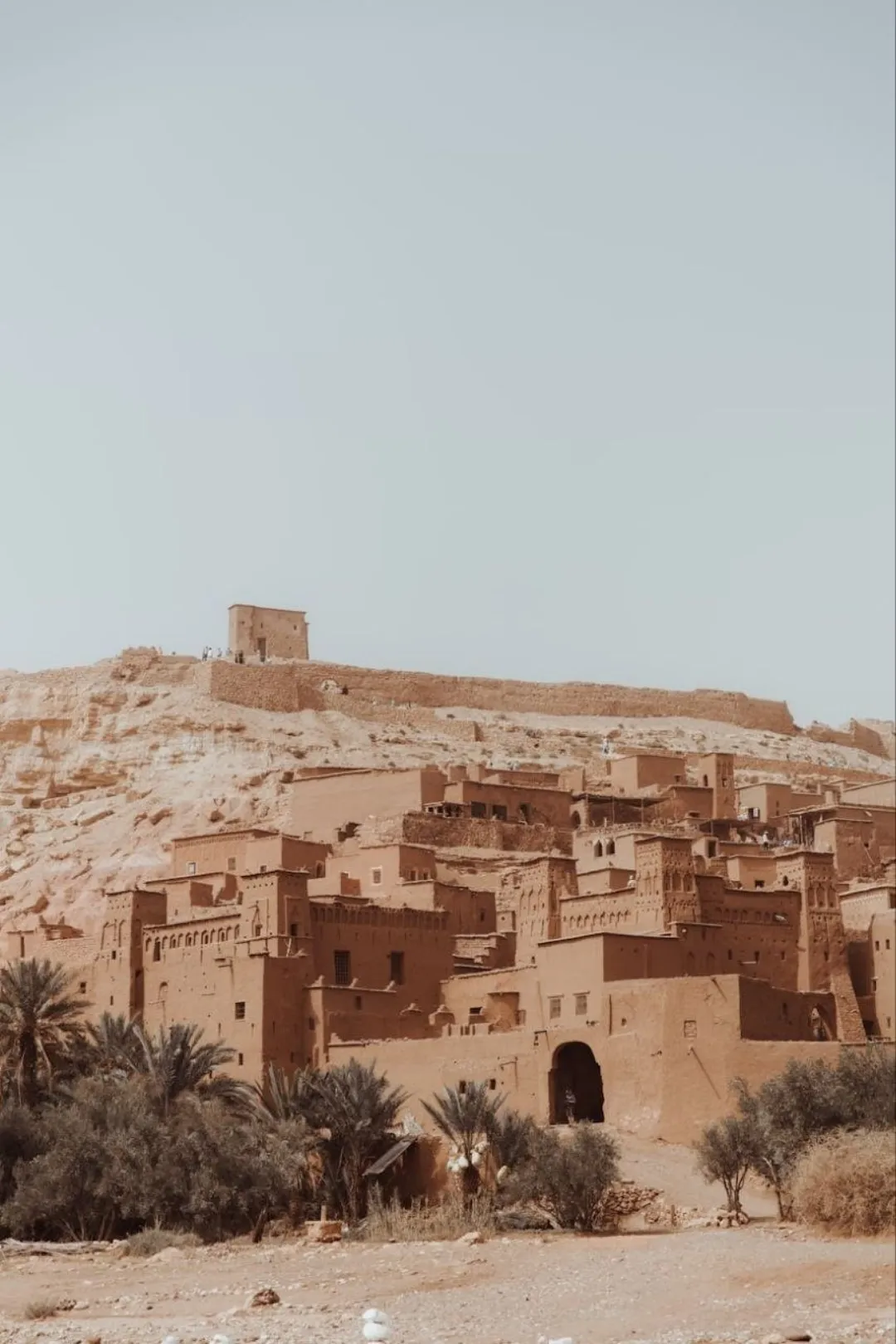 Earthen desert village on a hillside with palms and a fortified tower